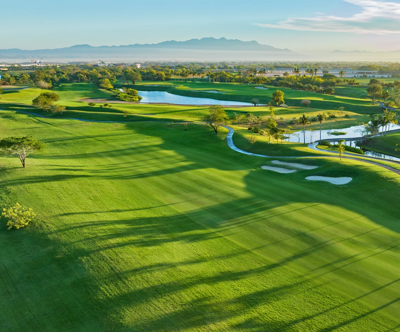 20% OFF GOLF